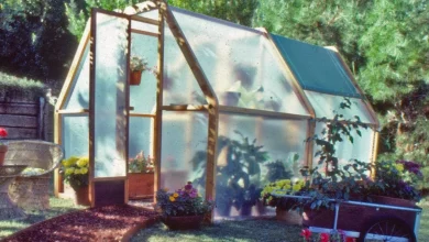 Building Your Own Greenhouse on a Budget