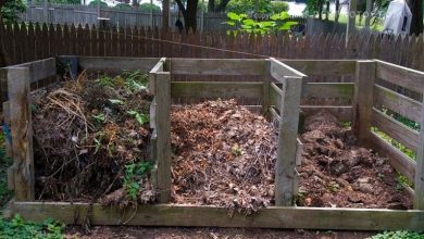 Creating a Compost Bin at Home