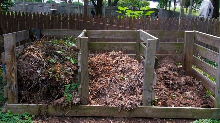 Creating a Compost Bin at Home